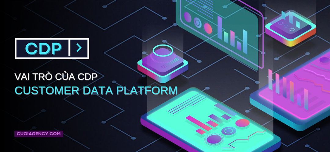 Vai trò của CDP (Customer Data Platform) là gì? Khi nào doanh nghiệp nên sử dụng CDP?