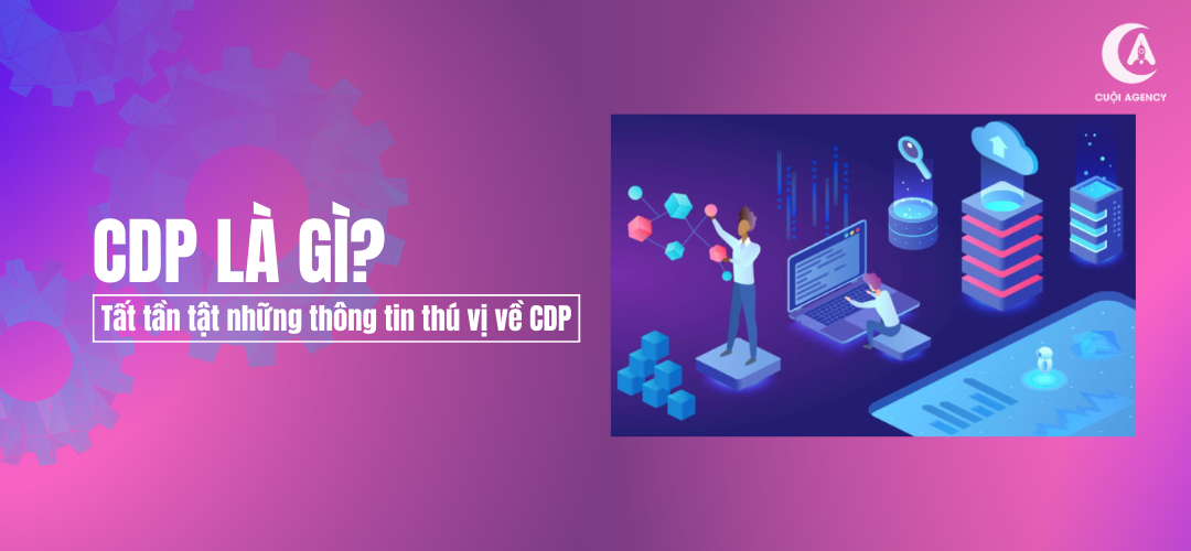 CDP là gì? Tất tần tật những thông tin thú vị về CDP